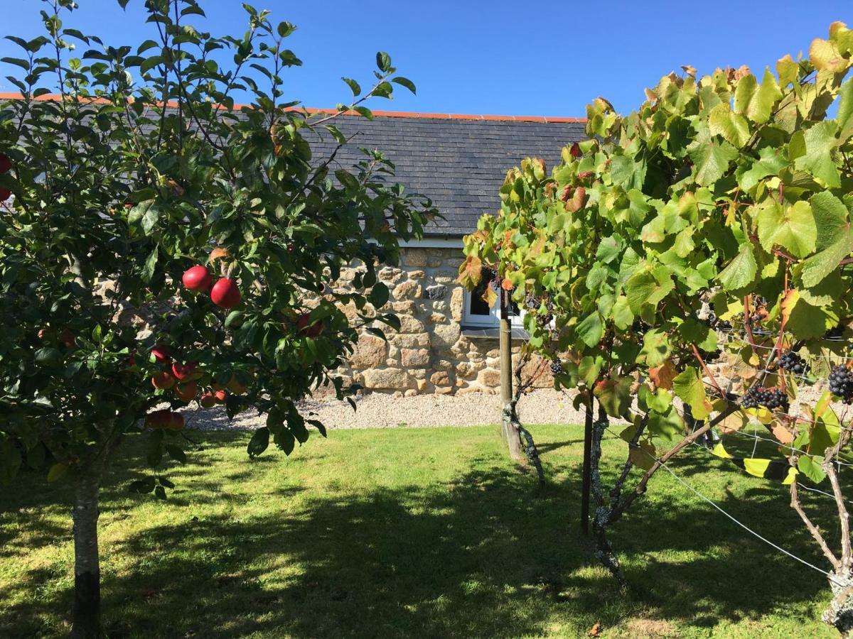 Cobblestone Cottage Penzance Bagian luar foto